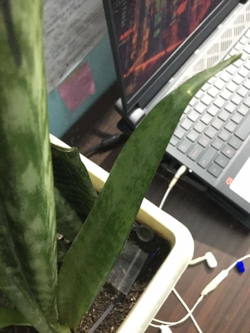ProductImg